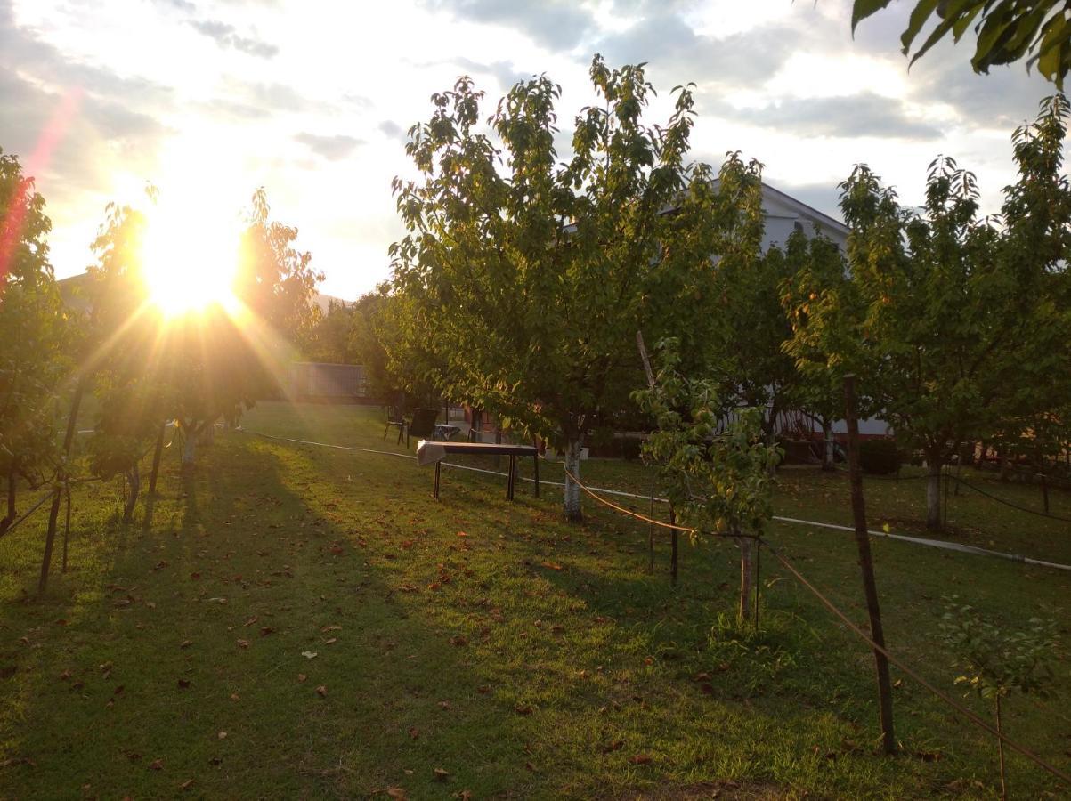 Airport Home Radinovic Podgorica Zewnętrze zdjęcie