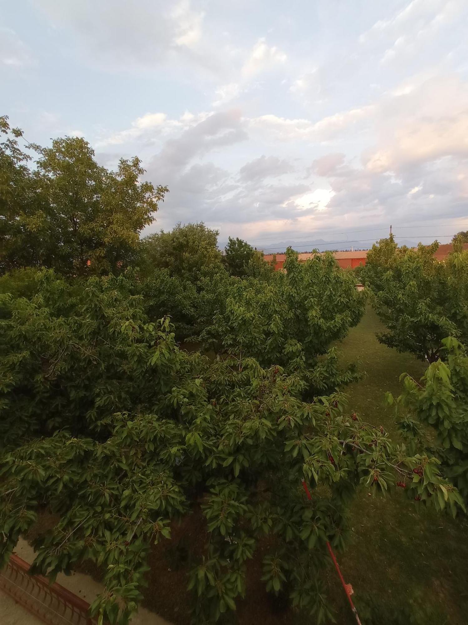 Airport Home Radinovic Podgorica Pokój zdjęcie