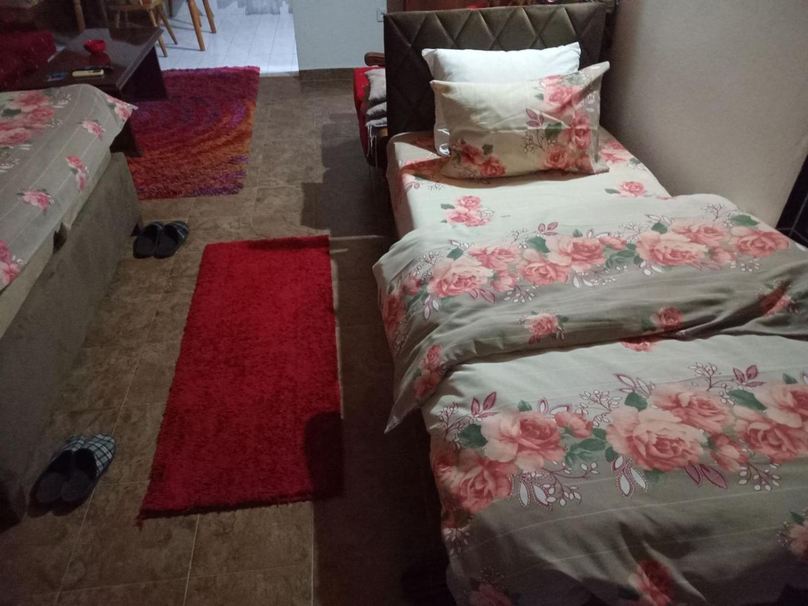 Airport Home Radinovic Podgorica Zewnętrze zdjęcie