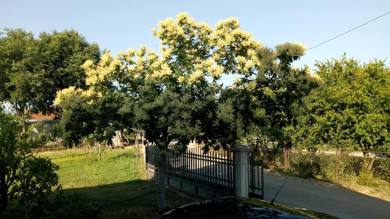 Airport Home Radinovic Podgorica Zewnętrze zdjęcie