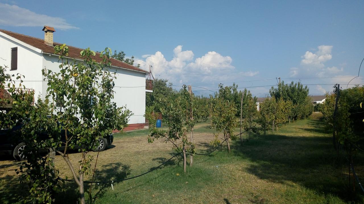 Airport Home Radinovic Podgorica Zewnętrze zdjęcie