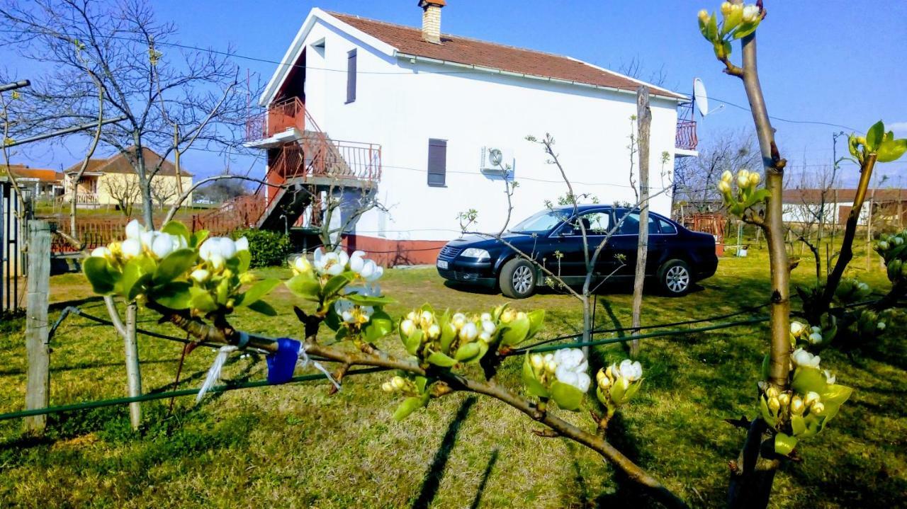 Airport Home Radinovic Podgorica Zewnętrze zdjęcie