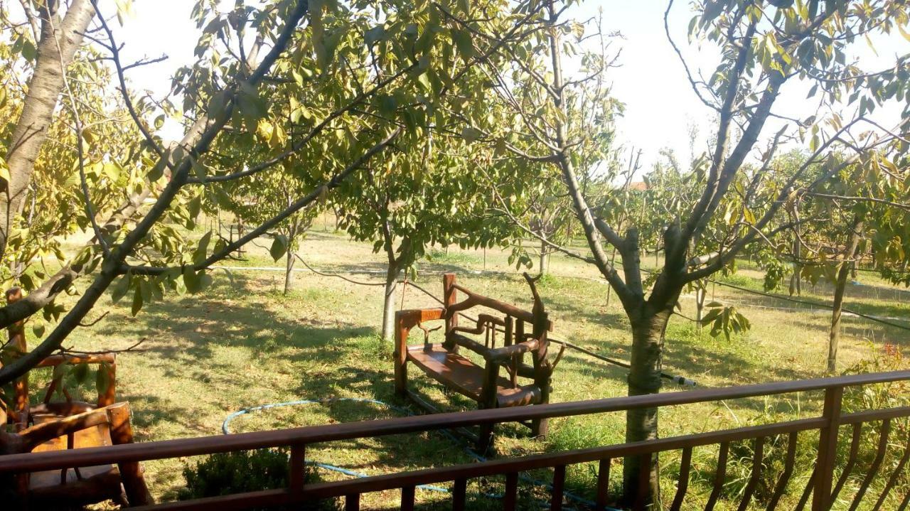 Airport Home Radinovic Podgorica Zewnętrze zdjęcie